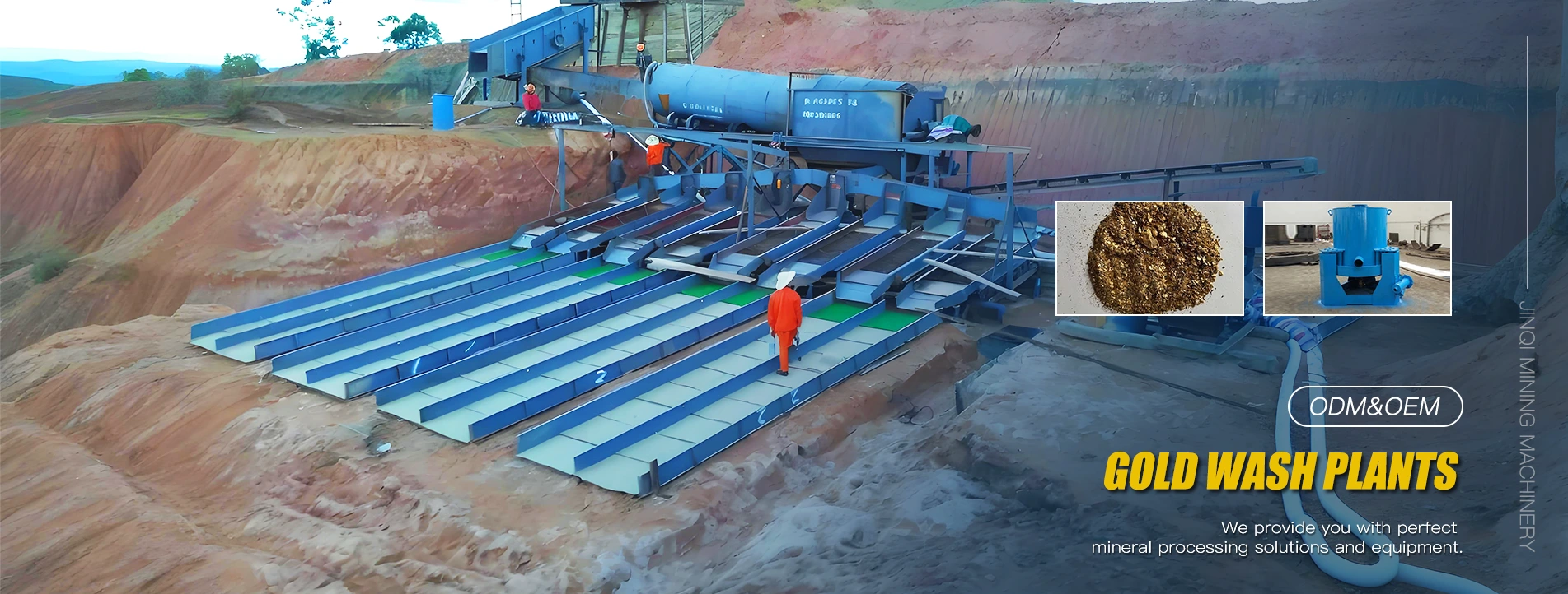 Çində Qızıl Yuma Bitkiləri Təchizatçısı