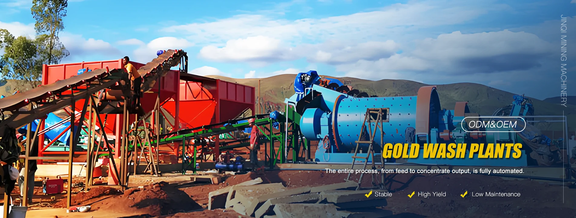 Yüksək Performanslı Qızıl Yuma Bitkiləri Fabriki